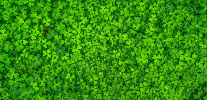 Awesome Vegan Beauty Products for St. Patrick’s Day: A Study in Green